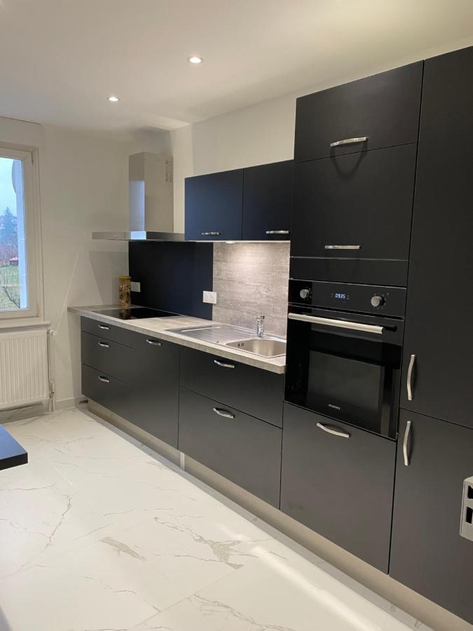 Appartement Les Tilleuls "3 Etoiles" Нидербронн-ле-Бен Экстерьер фото